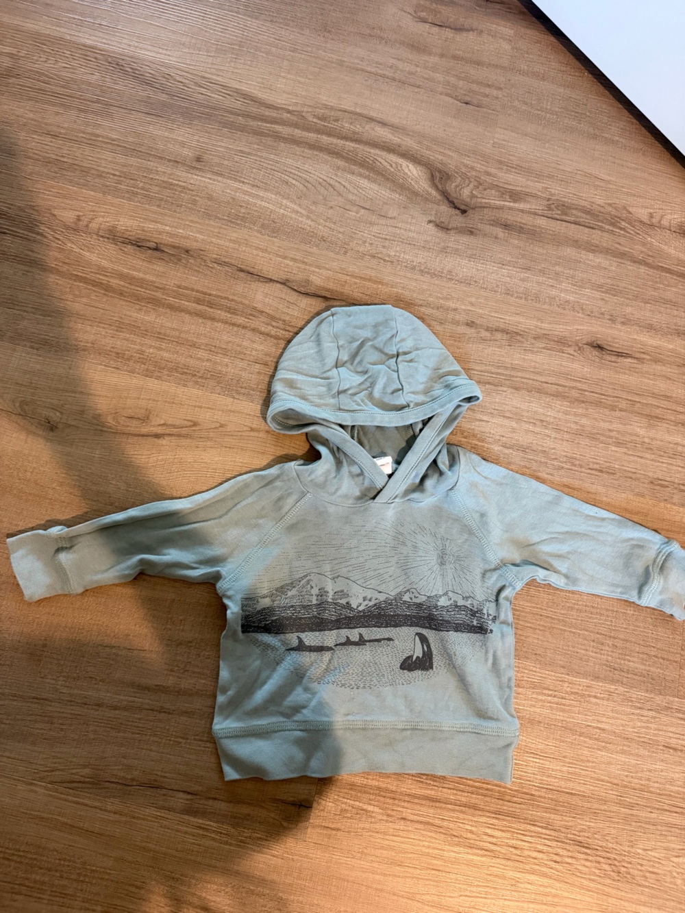 Colored Organics Cotton Hoodie